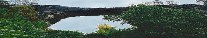 Headergrafik 1; � Doris Elfert